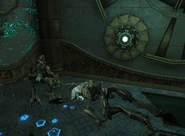 Close-up of another pair of lifeless Pirate husks.