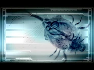 Corruption Menu screen.