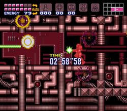 Shutter hall.png