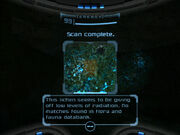  scan