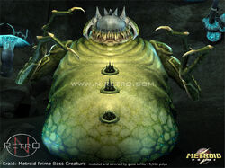 Kraid mp modelo