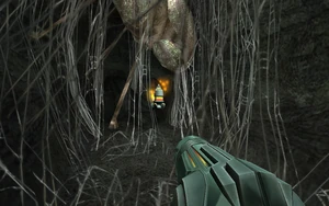 Two of the objects above ' .