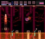 Dragons in Super Metroid