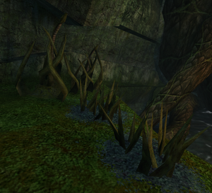 Stone creeper.png