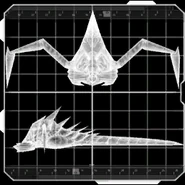 Parasite placeholder image 2.png (34 KB) Placeholder images