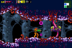 Vine-infested passage MZM.png