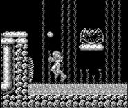 A Metroid Husk in the first tower corridor