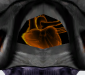 Meta Ridley textura corazón mp
