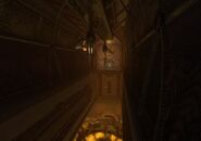 Amanda-rotella-ss0238.jpg (40 KB)