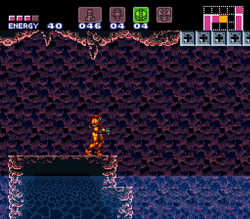 Pond B.png