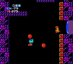 Kiru Giru's room in Metroid