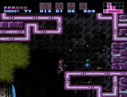 West Cactus Alley Room
