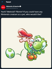 NOA tweet about pets.png