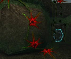 A trio of Red Starbursts in Tallon Overworld