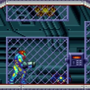 Metroid - Fusion 2.png (43 KB) Uninfected blue and gold Scisers in Sector 4