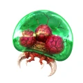 MSR Larva Metroid artwork.png (2.85 MB) A Metroid larva, the third stage in the Metroid life cycle.