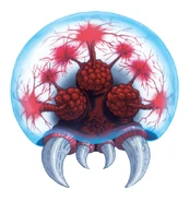 Metroid4 07.jpg (136 KB) Metroid larva