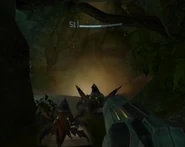 Canyon Cavern with two Beetles visible