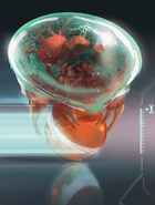 Sammy-hall-maru-mari.jpg (177 KB) Sammy Hall