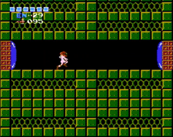 Hidden drop Metroid.png