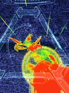 The third slideshow image.