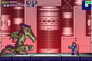 Samus sees the rotting corpse of the Ridley clone.