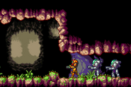 Samus and the BSL soldiers looking for unique creatures in Metroid Fusion