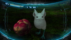Little Birdie Wikitroid Fandom Little Birdie Wikitroid Fandom