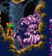 The larva's empty cocoon.