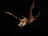 Bryyonian Shriekbat