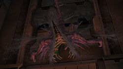 Biography Of Ridley Wikitroid Fandom