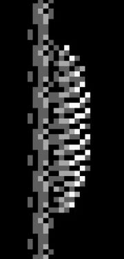 PlantM2.jpg
