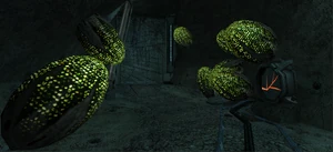 Hive Chamber B Acid Sac Pile