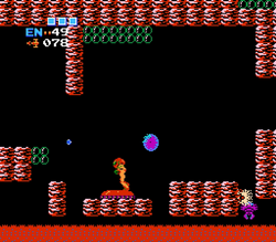 Brutal path Metroid.png