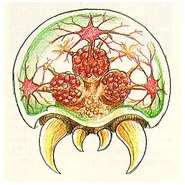 M3 design Metroid.png (149 KB) Metroid larva