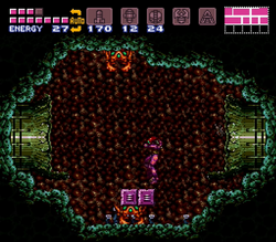 Sciser hole