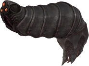 Amorbis 1.png (73 KB) Amorbis Logbook model