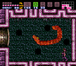 Ботвун плывает между норами. Этот цвет означает, что он движется очень быстро.