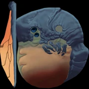 Textures for Shineon.