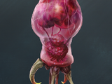 Hunter Metroid