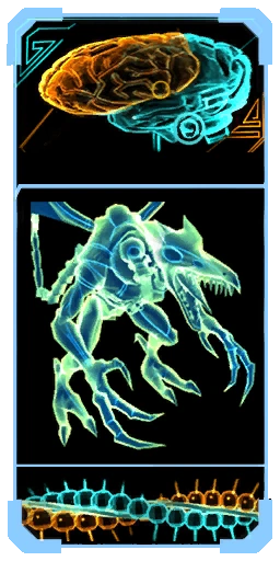 Meta Ridley brain scanpic