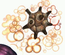 A  emitting Nohadin gas (artwork).