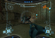 Plated Beetle battle.jpg (321 KB) Plated Beetle