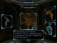 War Wasp Scan in Metroid Prime.