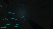 Crashed Frigate Screenshot (22).png (525 KB) Luminescent fish in the crashed Frigate Orpheon
