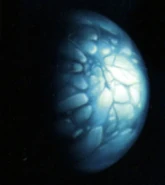 Metroid Prime Trilogy