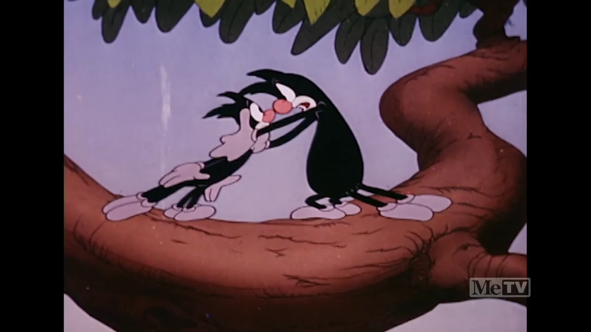 January 22 2024 MeTV Schedule Archives Wiki Fandom january-22-2024-metv-schedule-archives-wiki-fandom