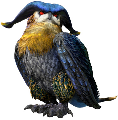 夜鸟 怪物猎人 魔物獵人中文綜合維基wiki Fandom 夜鸟 怪物猎人 魔物獵人中文綜合維基wiki Fandom