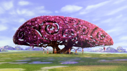 The Blossom Tree 15