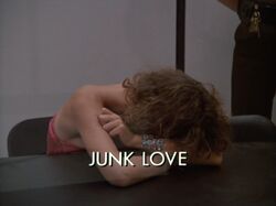 Junklovetitle